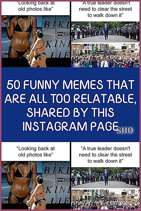 funny plataporma memes|50 Funny Memes That Are All Too Relatable, Shared .